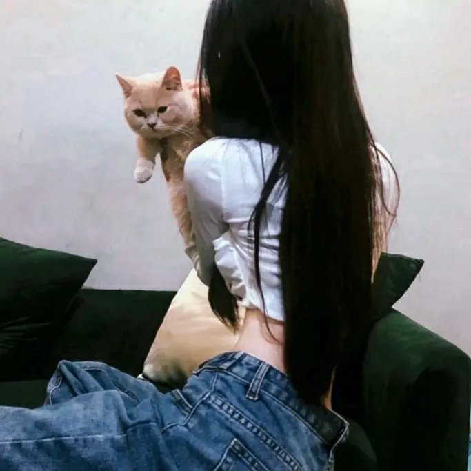 恐怖阴谋